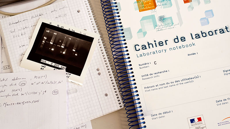 Cahier de laboratoire, photo de gel d'électrophorèse.