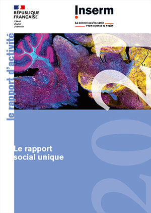 Le rapport social unique 2021